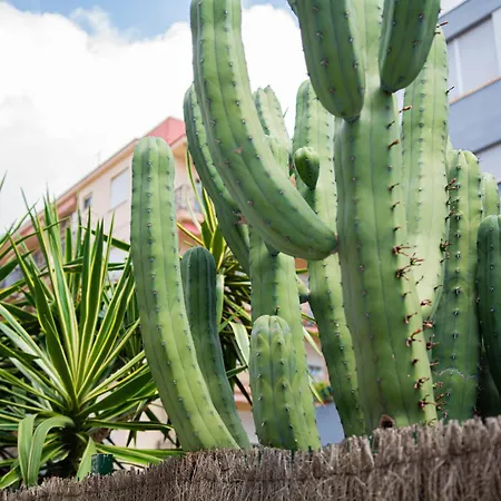 ホテル ブルバード 3*